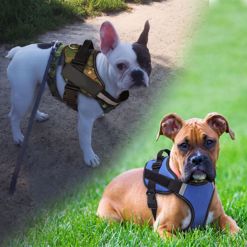 Reflektierendes Hundegeschirr Weste ohne Zug