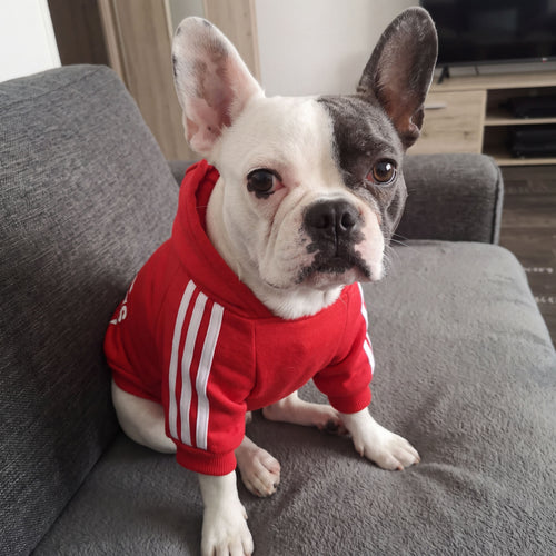 Hunde Fleece Kapuzenpullover