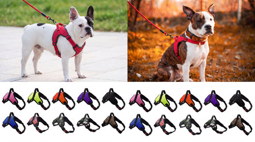 Einstellbares Hundegeschirr und reflektierendes Leinenset