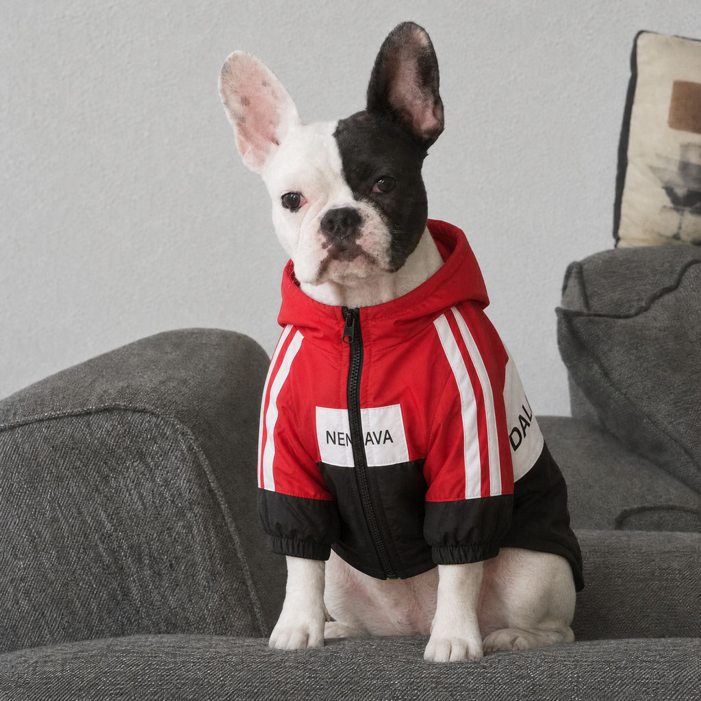 Wasserdichte Hundejacke