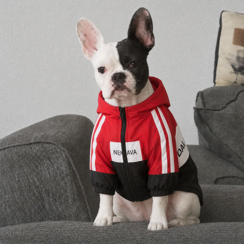 Wasserdichte Hundejacke
