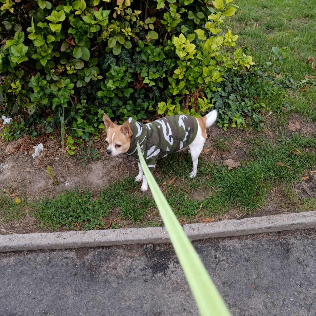 Fleece Kapuzenpullover für Hunde
