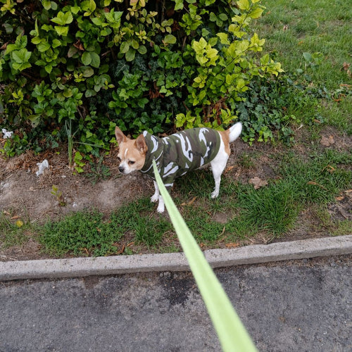 Fleece Kapuzenpullover für Hunde