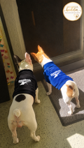 Hund-T-Shirt für kleine Hunde