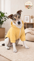 Hundepullover mit Buchstaben